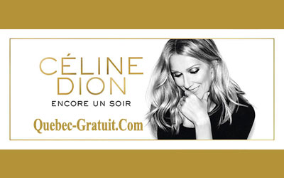 Forfait VIP pour le spectacle de Céline Dion