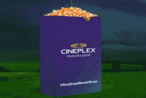 Paquet de Maïs éclaté Gratuit