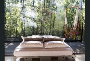 Séjour dans un refuge en forêt