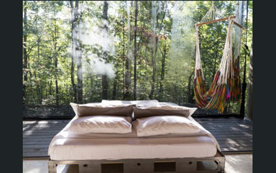 Séjour dans un refuge en forêt