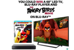 Télévision 48 au LED + lecteur Blu-Ray