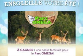 Un laissez-passer familial pour visiter le Parc Oméga