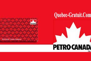 Une carte cadeau Petro Canada d'une valeur de $100