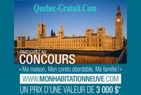 Voyage de 3000 $ à Londres