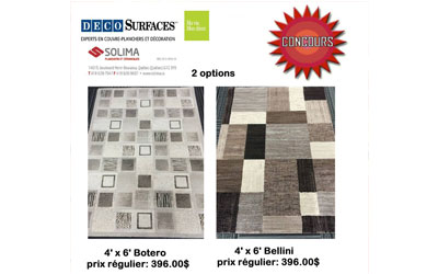 Carpette 4' x 6' de 396$