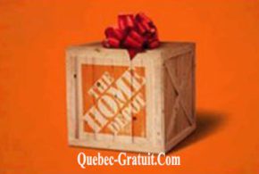 Carte cadeau Home Dépôt de 50 $