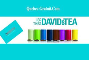 Carte cadeau Les Thés DAVIDsTEA de 100 $