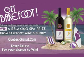 Carte cadeau WaySpa de 300 $