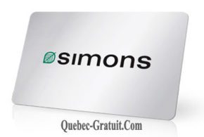 Carte cadeaux Simons de 100 $