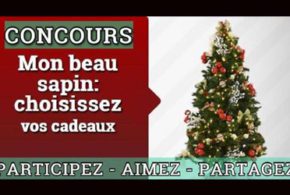 Concours brault martineau