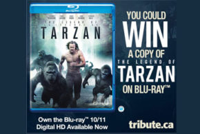 Concours gagnez un Blu-ray du film The Legend of Tarzan