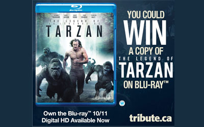 Concours gagnez un Blu-ray du film The Legend of Tarzan