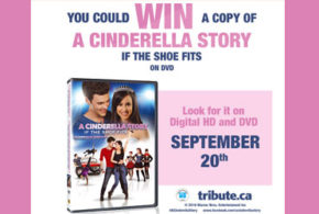 DVD du film A Cinderella Story If the Shoe Fits