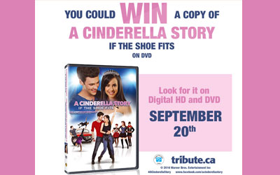 DVD du film A Cinderella Story If the Shoe Fits