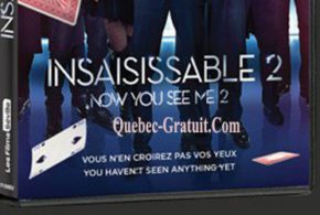 DVD du film Insaisissable 2