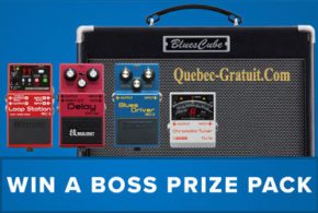 Ensemble cadeaux d'équipement de guitare