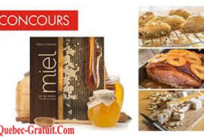 Exemplaires du livre Miel