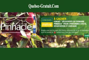 Forfait «Découverte du Domaine Pinnacle»