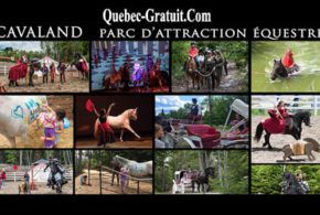 Forfait au parc d'attraction équestre, Cavaland