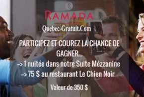 Forfait nuitée à l'hôtel Ramada Plaza