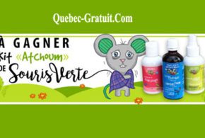 Kit «Atchoum» de Souris verte