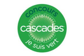 Salutbonjourconcours