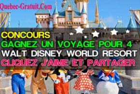 Voyage au Walt Disney World Resort