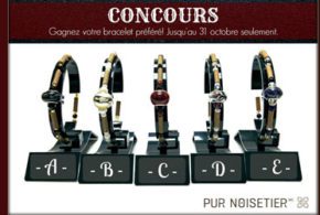 Concours gagnez 5 bracelets avec charms européens de Pur Noisetier