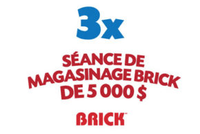 Concours gagnez 5000 $ pour une séance de magasinage chez Brick