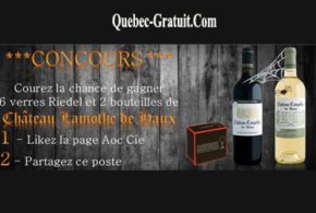 Concours gagnez 6 verres Riedel et 2 bouteilles de Châteaux Lamothe de Haux