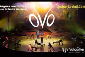 Concours gagnez des billets pour le spectacle Ovo