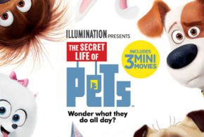 Concours gagnez un Blu-ray du film Comme des bêtes