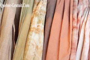 Concours gagnez un T-shirt de coton unisexe sérigraphié