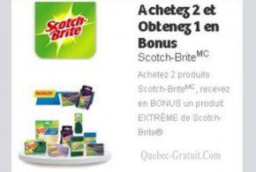 Achetez 2 produits Scotch-Brite et recevez 1 en Bonus