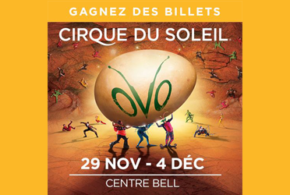 Concours assistez à la représentation du spectacle OVO - Cirque du Soleil