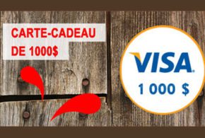 Concours gagnez 5 Cartes cadeaux Visa de 1000$
