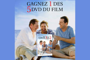 Concours gagnez 5 copies DVD du film Les Trois P'tits Cochons 2