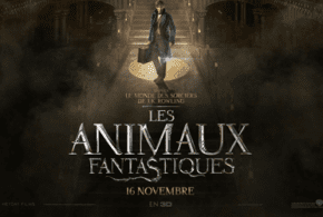 Concours gagnez des Billet pour le film Les animaux fantastiques