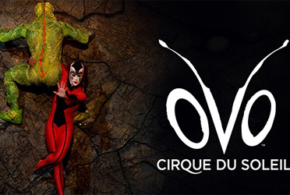 Concours gagnez des Billets VIP pour le spectacle d'Ovo du Cirque du Soleil
