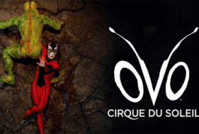 Concours gagnez des Billets VIP pour le spectacle d'Ovo du Cirque du Soleil