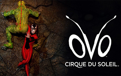 Concours gagnez des Billets VIP pour le spectacle d'Ovo du Cirque du Soleil