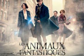 Concours gagnez des Billets pour voir le film Les animaux fantastiques