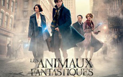 Concours gagnez des Billets pour voir le film Les animaux fantastiques