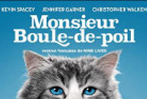 Concours gagnez un Blu-ray du film Monsieur Boule-de-poil