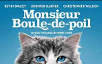 Concours gagnez un Blu-ray du film Monsieur Boule-de-poil