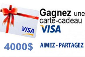 Concours gagnez une Carte cadeau Visa de 4000$