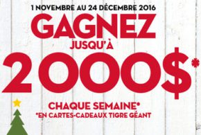 Concours gagnez une carte-cadeau Tigre Géant de 2000 $