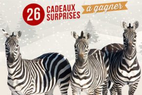 Calendrier de l'Avant - Zoo de Granby