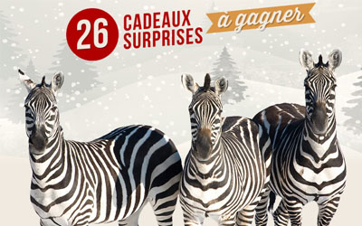 Calendrier de l'Avant - Zoo de Granby