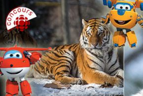 Concours gagnez 5 Ensembles billets pour le Zoo de Granby